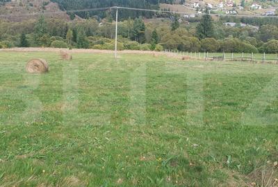 Teren Construcții intravilan de 1000 mp, în Vatra Dornei