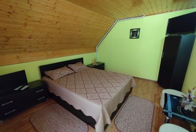 Afacere la cheie! Pensiune (casa de locuit) cu restaurant zona Cugir! - 4