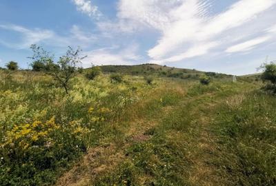 Teren Chinteni, zona Lacului