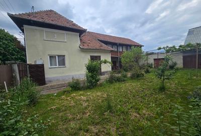Aproape de Marginimea Sibiului, casa in inima unui parc - 5