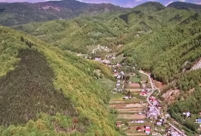 Teren de vanzare Lepsa-Gresu, 57000 mp, cu doar 1 euro/mp - 1