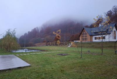 Proprietate cu potențial turistic în zona montană a Țării Lăpușului - 1