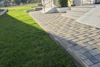 Apartament 2 cam D, Platoul Galata, mobilat cu Parcare cod:Cod 160253 - 19