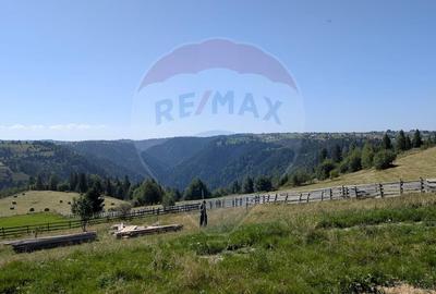 Tiny House-uri in Maguri Racatau. Teren de vânzare cu proiect în curs - 14
