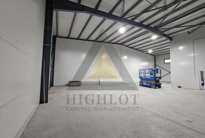 331MP Utili - INCHIRIERE HALA MODERNĂ | CHITILA - RUDENI  | ACCES A1-A0-CB - 1