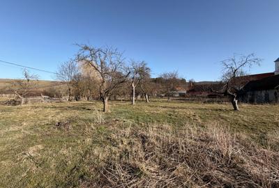 Casă 2 camere 52 mp + teren 1.605 mp Boroșneu Mic - 11