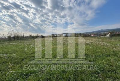 Teren intravilan | De vanzare | 5841 mp | 38 ml deschidere | Cetate - 4
