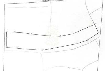 Teren 3966 mp-2 deschideri-curent-investitie-Budacu de Sus - 3