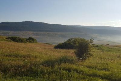 Teren intravilan 3750 mp, cu PUZ, zona platoului Radaia - 2