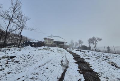 De vânzare | Casă bătrânească + teren generos | Zona Balaur – Dobren - 2