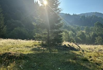 Rucar-Satic, teren intravilan de vanzare, loturi de la  500 mp, peisaj de vis! - 6