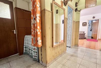 Apartament de vanzare 3 camere cu pivnita mare, Astra, Brasov - 26