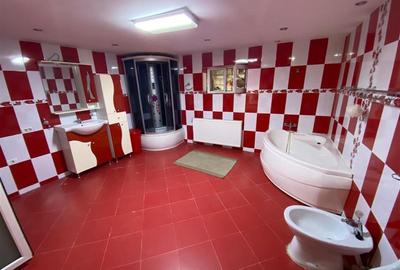 Iaz, Casa la Curete, 9 Camere, Teren 2892 Mp - 27