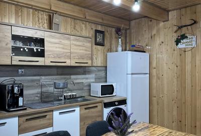 Cabană – afacere la cheie | 4 dormitoare | Piscină încălzită | Valea Ierii - 10