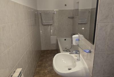 Apartament Duplex – Bulevardul Unirii -Rond Alba Iulia - 18