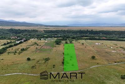 Teren intravilan 5000mp Valea Avrigului - 5