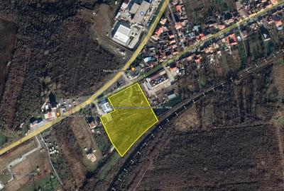 Oravita, Teren Intravilan Drept, In Oras, 16000 Mp., 17 Euro Mp. - 6