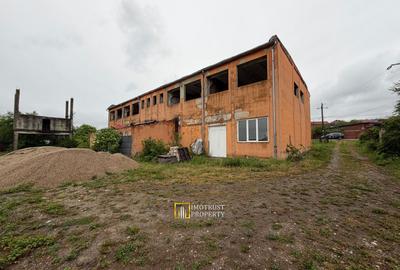 Hală industrială de vânzare – Sebiș, jud. Arad - 5