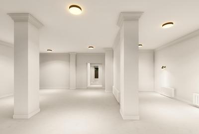 Spatiu comercial la strada - 2