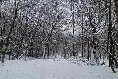 Teren Breaza 461 mp pt constructie si 1461 mp livada - 1