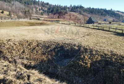Teren de vanzare  Vatra Moldovitei BUCOVINA - 14