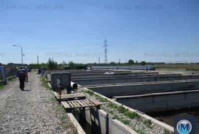 Spatiu industrial de vanzare, 2560 mp #15268 - 8