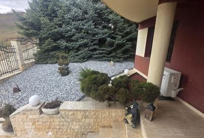 Casă individuală Bucium, Plopii fără Soț - 1