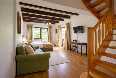 Pensiune:3 km de Castelul Bran, 2.900mp teren, aviz ISU, predare la cheie - 16