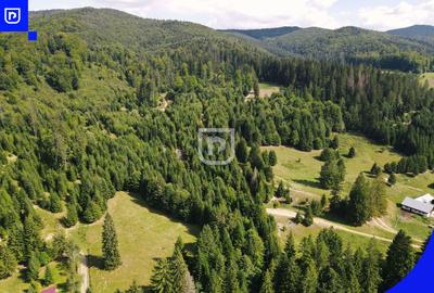 Teren - Voronet | Gura Humorului | BUCOVINA - 13