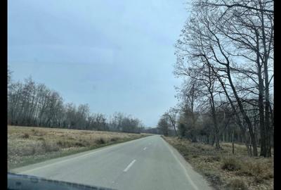 VANZARE TEREN INTRAVILAN - 5