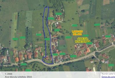 Gospodarie cu teren generos si constructii solide intr-o zona linistita - 20