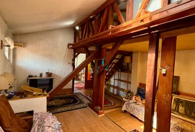 Domenii, str. Caraiman - 46