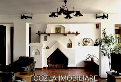 Pensiune rustica 670 mp, Dobreni, Neamt, amplasata pe lot teren 8900mp - 7