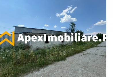 Hale Industriale de Vânzare Baicoi – 1100 mp + 800 mp, teren 5500 mp - 11