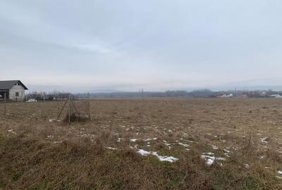 Cedare concesiune teren 2.000 mp | Todirești (Părhăuți) - 4