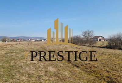 TEREN DE VÂNZARE 1000 MP ȘELIMBĂR ZONA TROIȚĂ | INVESTIȚIE - 4