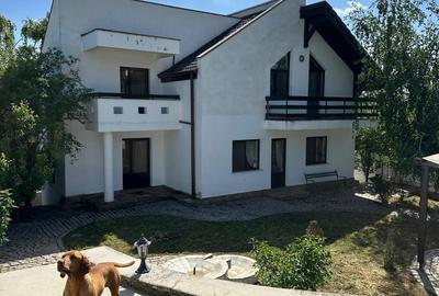 Vila Bucium cod 158289 - 29