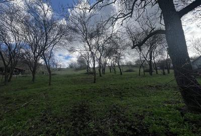 Teren intravilan, 2800 mp, Popesti Deal - 1