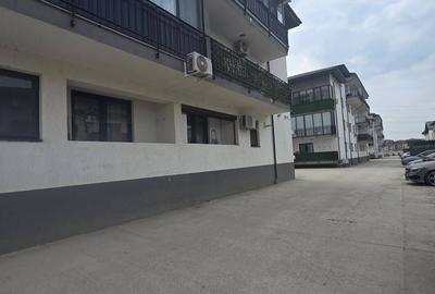 Apartament 2 Camere Strada Stejarului  Fundeni Dobroești - 2