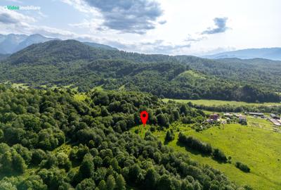 Teren cu vedere superba spre Cheile Rasnoavei, 8800 mp, la marginea pădurii - 4