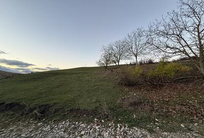 Teren Construcții intravilan de 1085 mp, în Borhanci