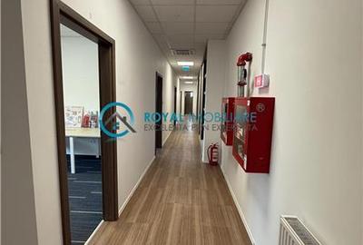 Royal Imobiliare-  Spatiu Industrial Zona Exterior Vest - 23
