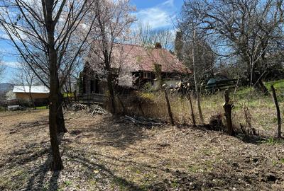 Breaza - str.Plaiului, Coasta Berzei nr.54, teren 1600 mp - 5
