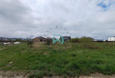 Vanzare teren Cristian - 8