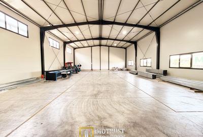 Hala industrială închirere – Vladimirescu, jud. Arad 500 mp - 4