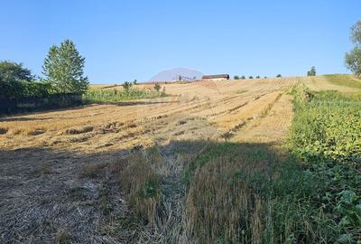 Teren intravilan, 7500 mp in Moara Carp / Strada Eternitatii-Suceava - 12