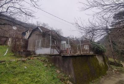Oravita, Casa de Vacanta, PRET FIX, Zona Lacul Mare - 27