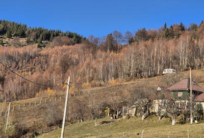 Teren de vânzare în sat Măgura/ Brasov– loc pentru familie, liniște și suflet - 27