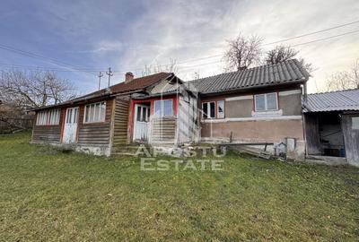 Casa batraneasca la munte, in Hunedoara, Tinutul Padurenilor, Cerbal - 2