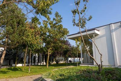 Private Estate langa Bucuresti | Vila, Piscina & Sport Court - 42